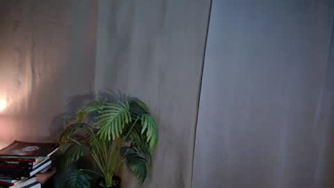 Lana But you can spell it backwards online show from March 2026 01:56:02 AM