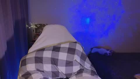 Sheyli online show from February 2026 05:11:02 PM