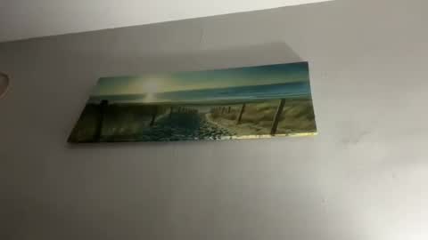 shida109 online show from November 2025 06:09:02 PM