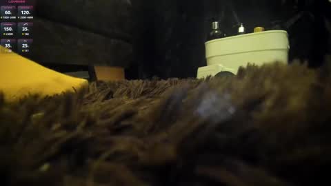 Shinigamidoll see you soon   online show from March 2025 02:15:01 AM