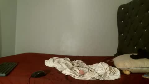 Shi-ro online show from February 2026 10:52:02 AM