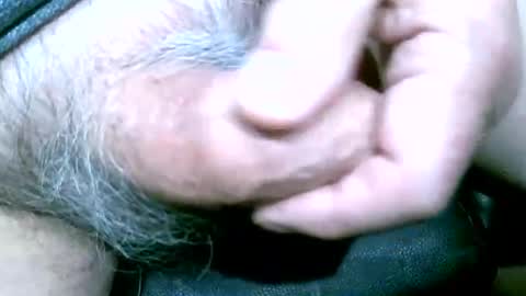 shootertog online show from March 2026 08:41:02 AM