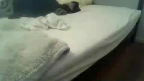 showherenow online show from July 2026 08:34:01 AM