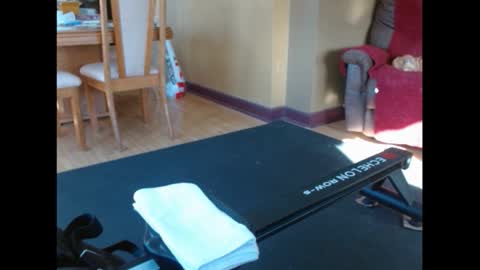 shy guy spc online show from February 2026 06:56:02 PM