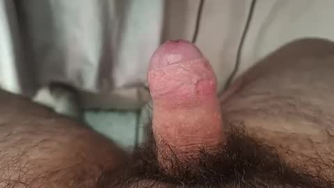 Snapshot of shyguy115935 chatting on December 2024 07:39:02 PM me online show from December 2024 07:39:02 PM