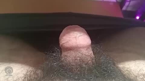 Snapshot of shyguy115935 chatting on October 2025 05:35:01 PM me online show from October 2025 05:35:01 PM