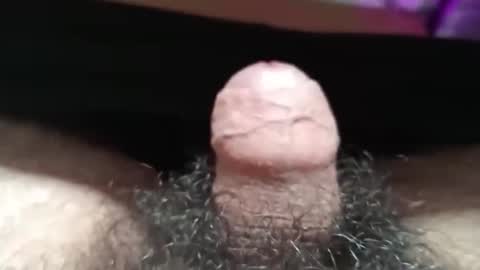 Snapshot of shyguy115935 chatting on October 2025 07:31:02 PM me online show from October 2025 07:31:02 PM