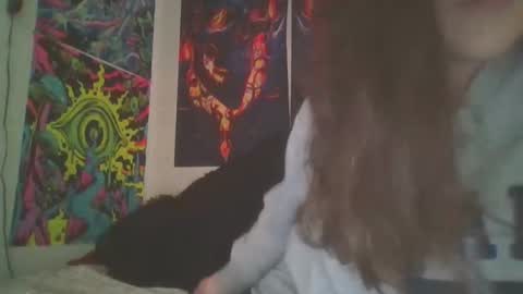 Snapshot of shymilf535 chatting on December 2024 03:47:02 AM RBXs Princess online show from December 2024 03:47:02 AM