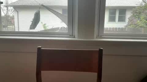 sie273 online show from April 2026 06:45:01 PM