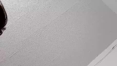 Bush with a class 3 rating online show from February 2026 07:56:01 PM