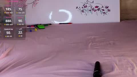 silly___woman online show from October 2025 03:01:02 PM