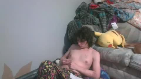 Snapshot of sillycutecow chatting on January 2025 10:13:02 PM Hailey online show from January 2025 10:13:02 PM