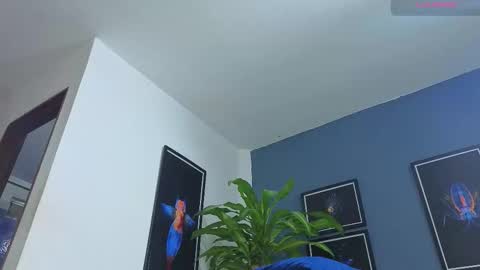 silvabranko online show from November 2025 12:11:02 AM