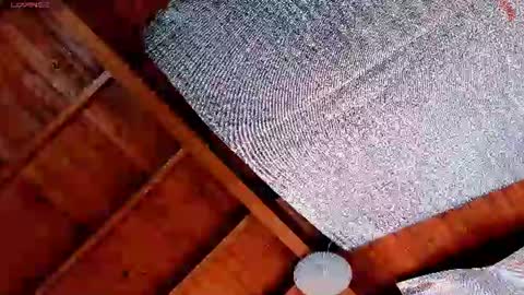 silvabranko online show from July 2026 03:05:01 PM