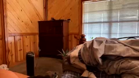 sinfull2022 online show from February 2026 04:38:02 PM