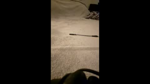 Snapshot of sissy4bigdaddies chatting on March 2026 05:08:02 PM sissy4bigdaddies online show from March 2026 05:08:02 PM