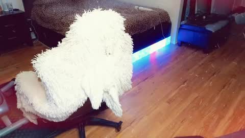 Ashleigh Mak online show from April 2026 11:51:02 PM