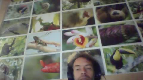 sji123 online show from February 2025 06:06:02 AM