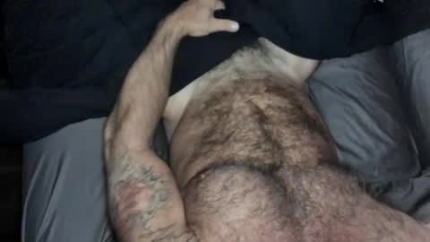 BEEF online show from September 2025 08:51:02 AM