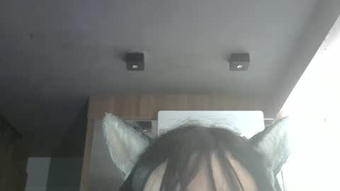 skinnykittencam online show from March 2026 05:35:01 AM