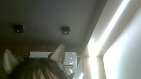 skinnykittencam online show from March 2026 02:05:02 AM