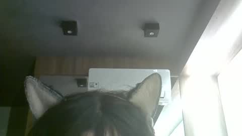 Snapshot of skinnykittencam chatting on June 2026 03:51:02 PM skinnykittencam online show from June 2026 03:51:02 PM