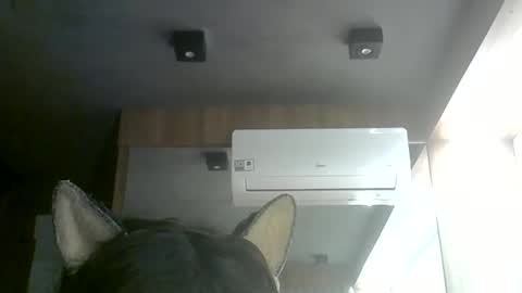 Snapshot of skinnykittencam chatting on June 2026 08:07:02 PM skinnykittencam online show from June 2026 08:07:02 PM