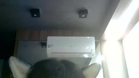 Snapshot of skinnykittencam chatting on June 2026 12:02:02 AM skinnykittencam online show from June 2026 12:02:02 AM