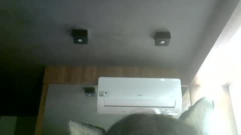 Snapshot of skinnykittencam chatting on July 2026 05:24:01 AM skinnykittencam online show from July 2026 05:24:01 AM