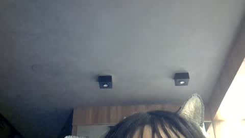 Snapshot of skinnykittencam chatting on July 2026 07:43:01 PM skinnykittencam online show from July 2026 07:43:01 PM