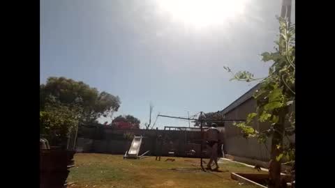 skip1975 online show from December 2024 07:28:02 AM