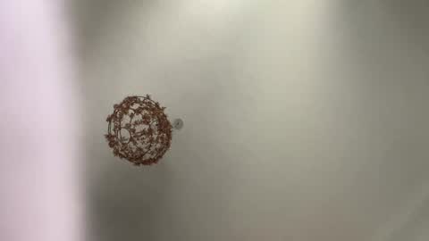 skuzzy25 online show from March 2025 08:49:02 AM