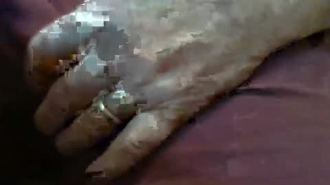 Snapshot of skypylot chatting on February 2026 04:13:01 PM ResqPylot2 online show from February 2026 04:13:01 PM