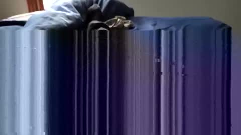 slappincheeks299 online show from October 2025 10:23:02 PM