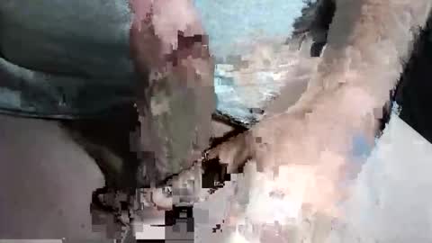 Snapshot of slash1710 chatting on September 2025 10:31:01 PM Z online show from September 2025 10:31:01 PM