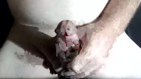 Z online show from February 2026 08:47:01 PM