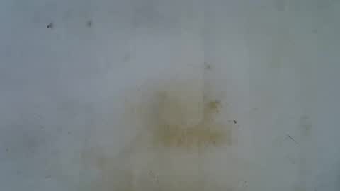 slim_girl3 online show from October 2025 07:19:02 AM