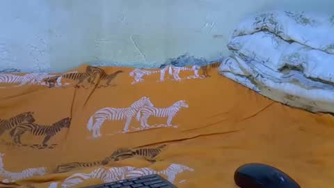 slim_girl3 online show from November 2025 02:21:01 PM