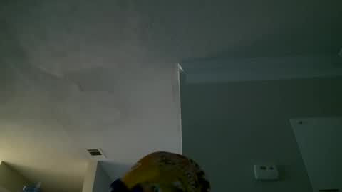 Snapshot of slimmmgooodiexoxo chatting on September 2025 11:14:01 AM slimmmgooodiexoxo online show from September 2025 11:14:01 AM