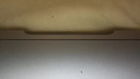 slimthick69couple online show from October 2025 04:13:02 PM