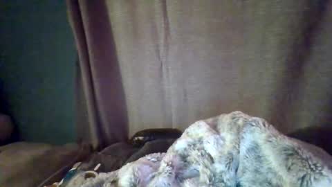 slittiekittie online show from March 2026 07:32:02 AM