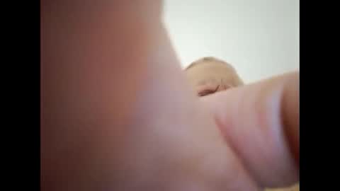 slovackasilbash online show from February 2026 08:14:01 AM