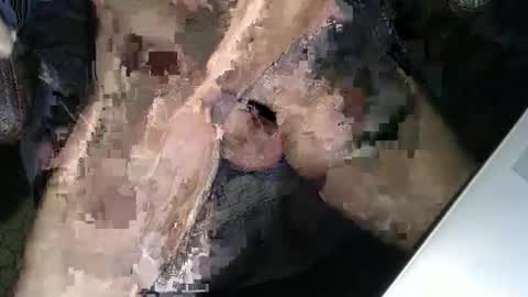 slyfast1 online show from December 2025 05:02:01 AM