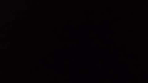 transmisin gratuita bajo demanda  free broadcast on demand online show from April 2026 11:13:02 PM