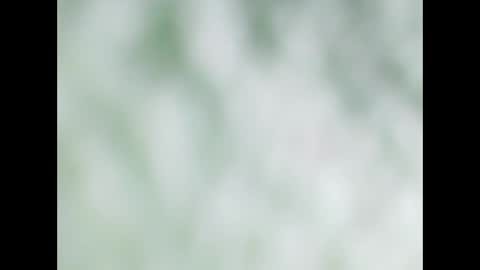 small wood21 online show from December 2025 11:51:01 AM