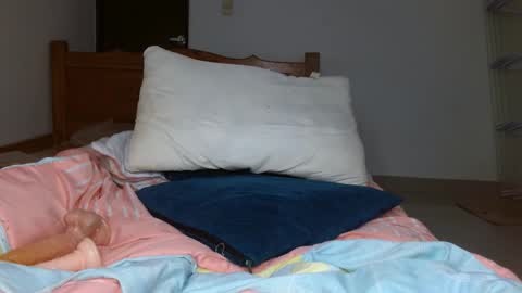 brenda online show from October 2025 04:51:02 PM