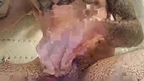 smallone8825 online show from March 2025 06:27:01 AM