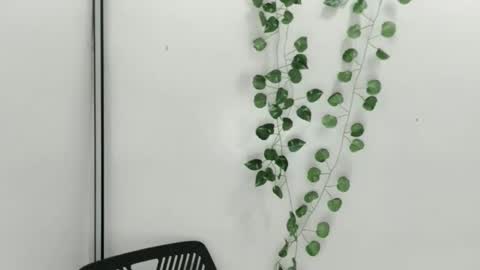 Julia online show from October 2025 06:33:01 AM