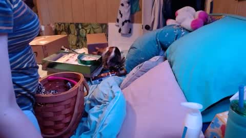 Snapshot of smokydian chatting on December 2024 02:54:02 AM DIAN dee-ann online show from December 2024 02:54:02 AM