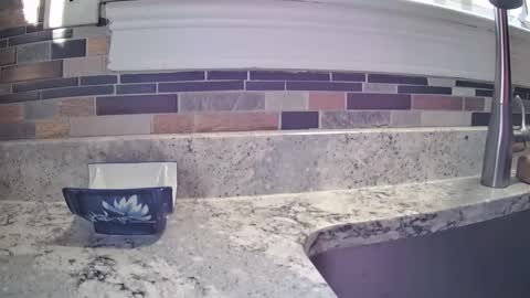 smthbtm53 online show from March 2026 01:16:01 PM